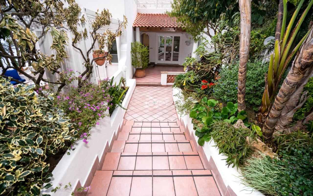 Villa Marinella Casamicciola Terme Εξωτερικό φωτογραφία