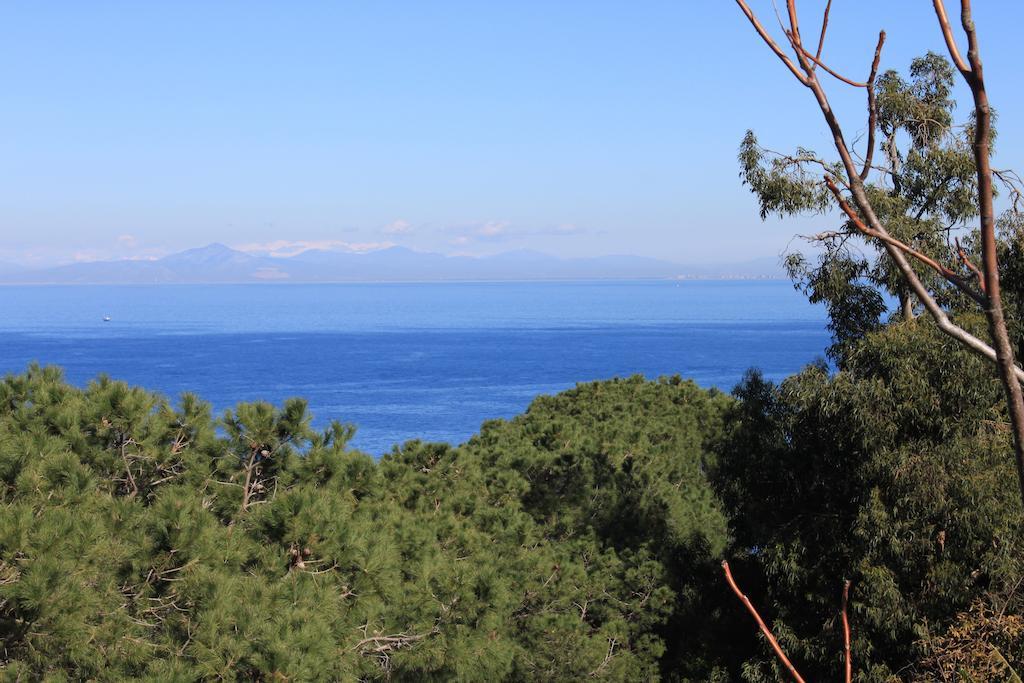 Villa Marinella Casamicciola Terme Εξωτερικό φωτογραφία